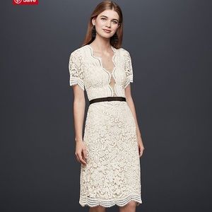 Illusion Lace Shift dress with Contrast Ribbon